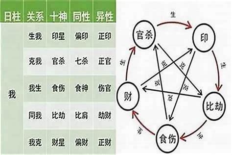 男命傷官多|八字十神之傷官